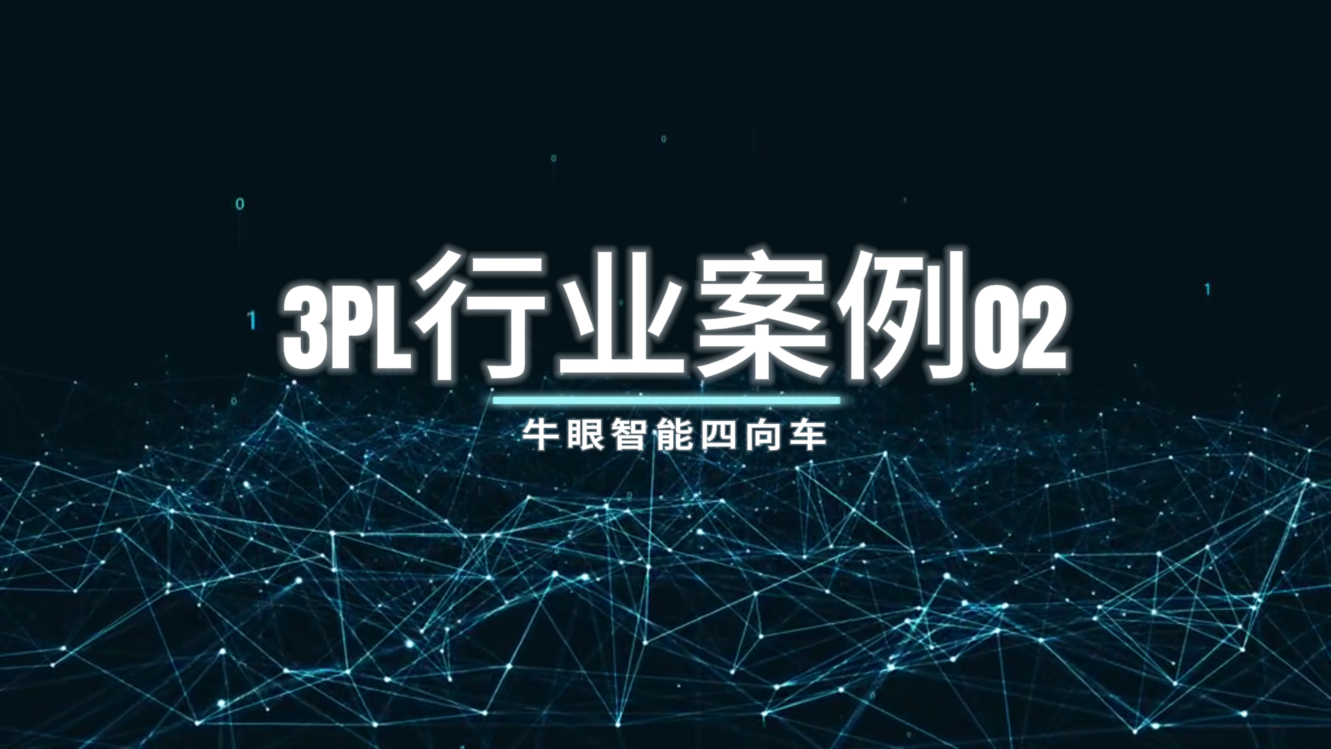 Bullseye Intelligent Four-Way Car 3PL Industry Case 02