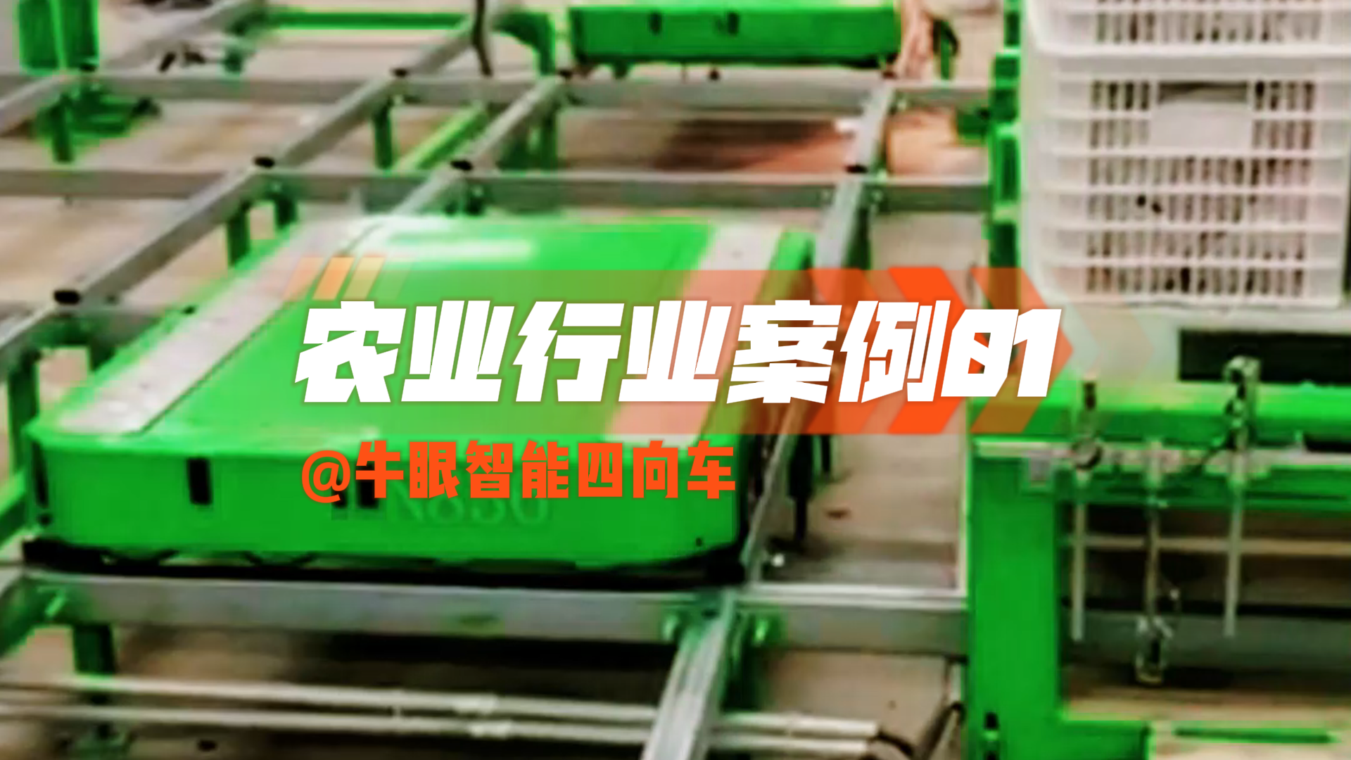 Bullseye Intelligent Four-way Vehicle - Xinjiang Agriculture Case 01
