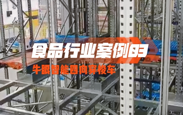 Bullseye Intelligent Four-way Shuttle Case - Food Industry 03